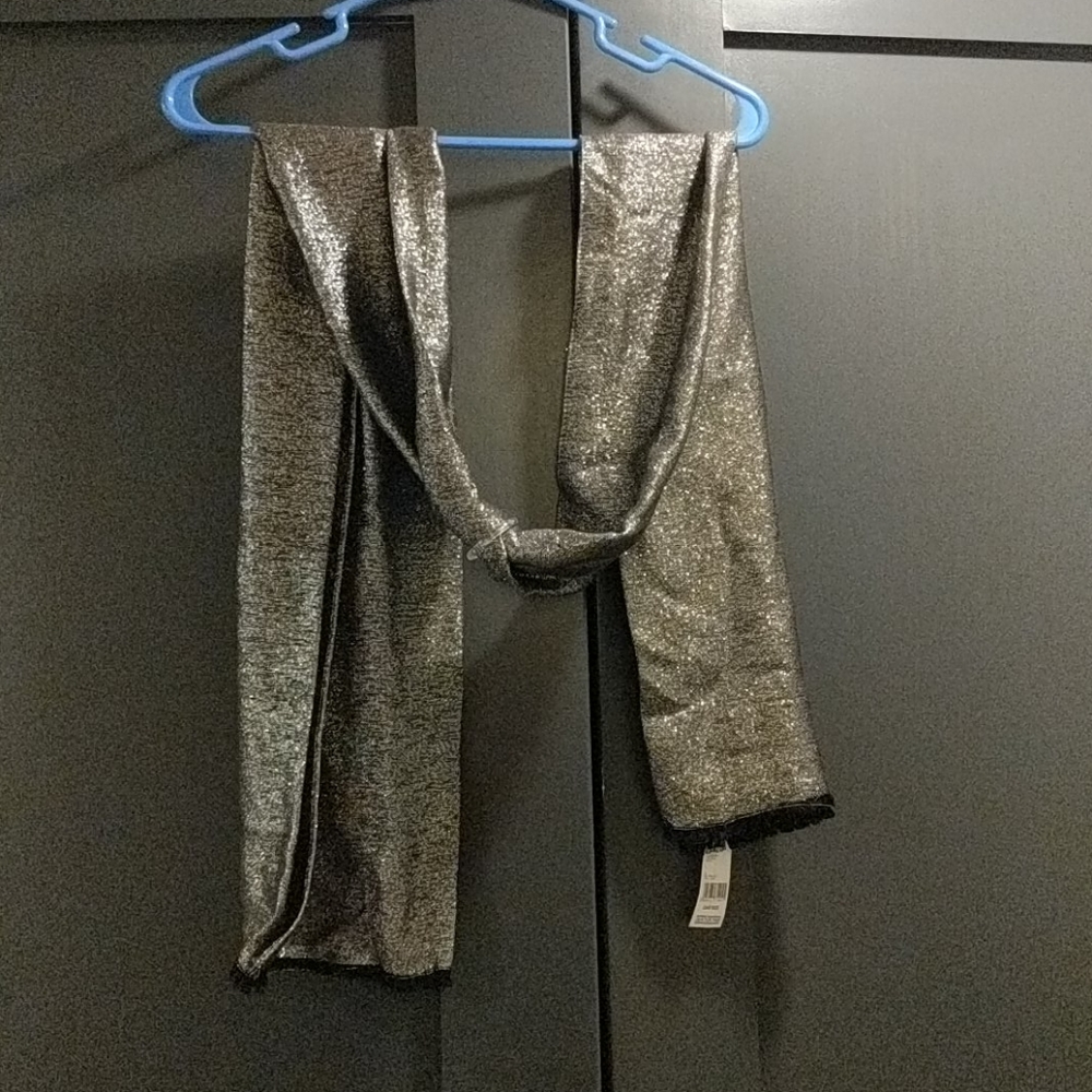 Silver metallic scarf NWT